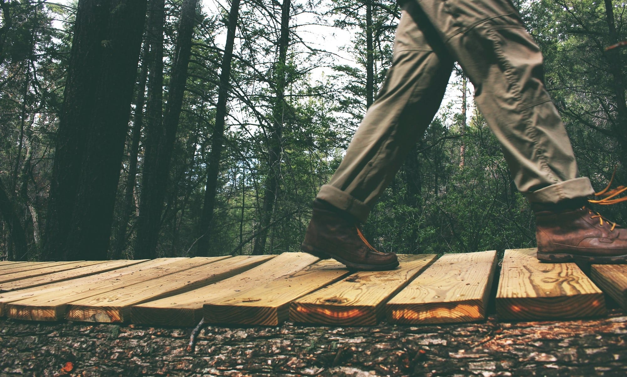 person walking on brown wooden bridge