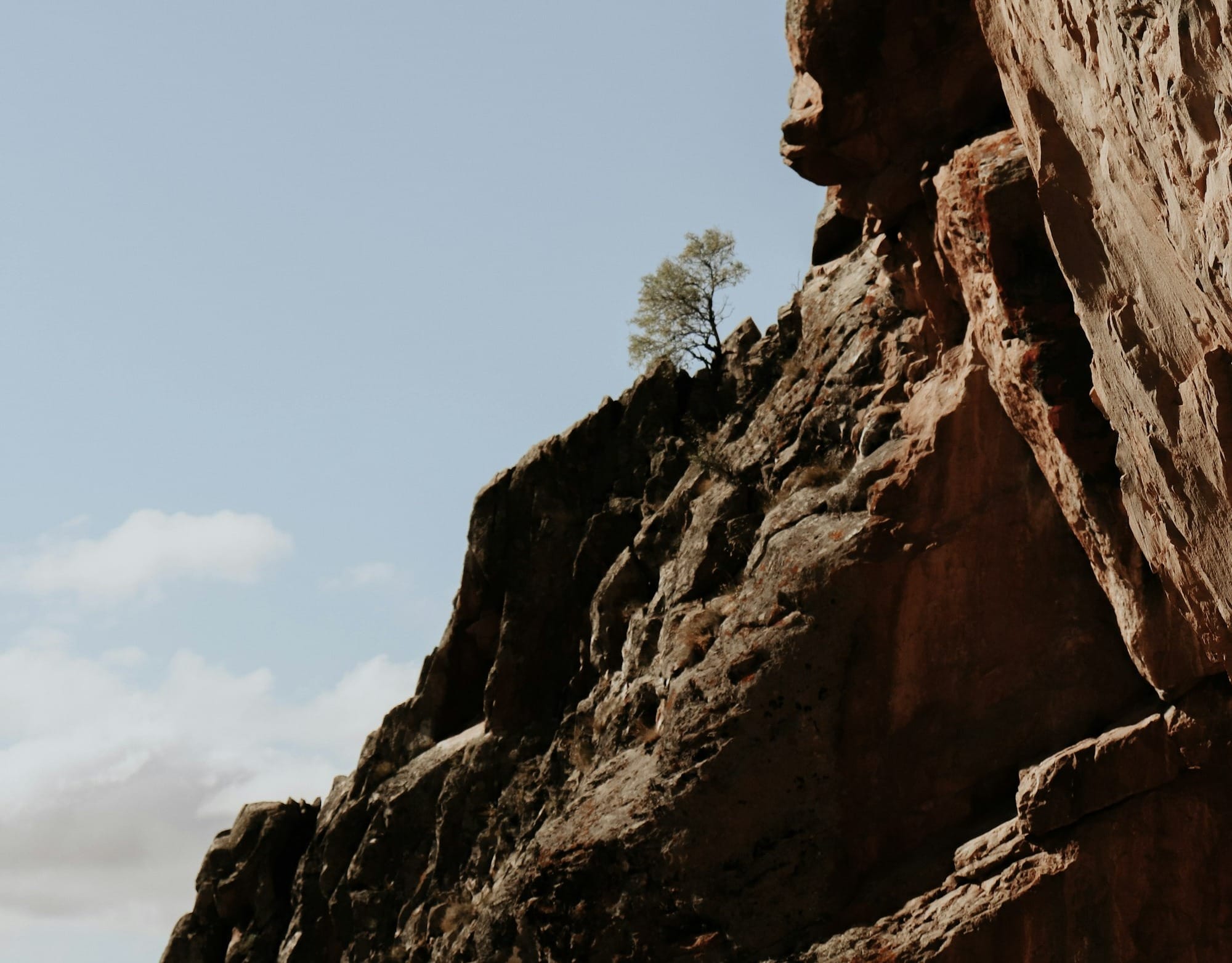 a bird flying over a cliff